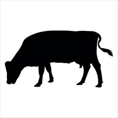 Black Cow Silhouette vector illustration