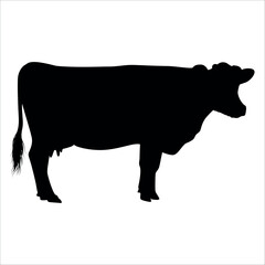 Black Cow Silhouette vector illustration