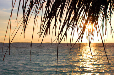 Peaceful Tropical Sunset Through Palm Leaves by the Ocean. Sunset through Dry Palm Trees on the...