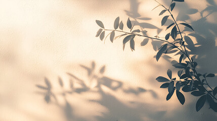 Plant branch casting shadows on a light beige wall. Soft, natural light creates a serene atmosphere.