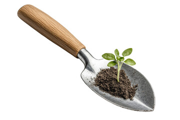 Wooden spoon with a plant in it