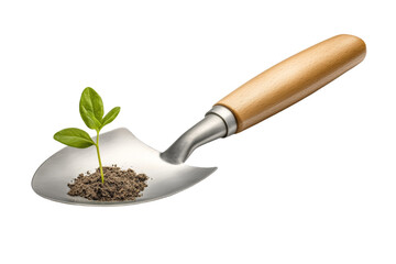 Small plant is growing in a small hole in the dirt