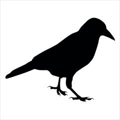 Bird Crow Silhouette Vector illustration