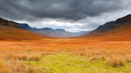 Obraz premium Valley meadow and expansive, A vast, vibrant valley with orange autumn grasses and dark, cloudy skies, framed by rugged mountains in the background.