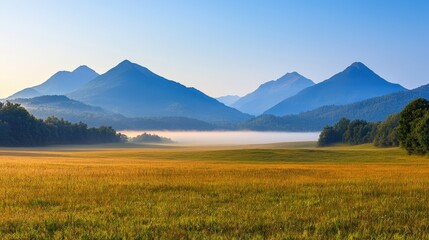 Naklejka premium Valley meadow and expansive, A serene landscape featuring rolling mountains in the background, a misty valley, and a golden field under a clear blue sky.