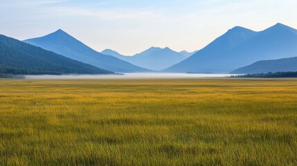 Valley meadow and expansive, A serene landscape featuring a vast grassy field with distant mountains under a clear blue sky.