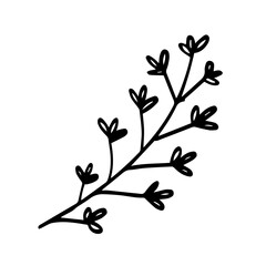 floral element isolated