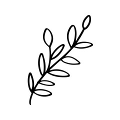 illustration of leaf