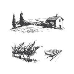 Greek Vineyards landscapes sketched abstract digital illustration