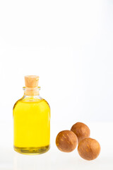 Macadamia nuts with bottle of organic oil - Macadamia integrifolia.