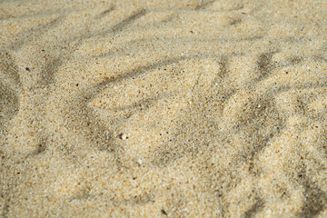 Abstract dune beach sand surface background