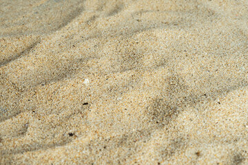 Abstract beach sand surface background