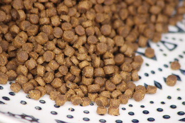 Closeup of cat food
