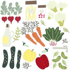 set of vegetables,vintage ,natural 