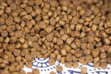 Closeup of cat food