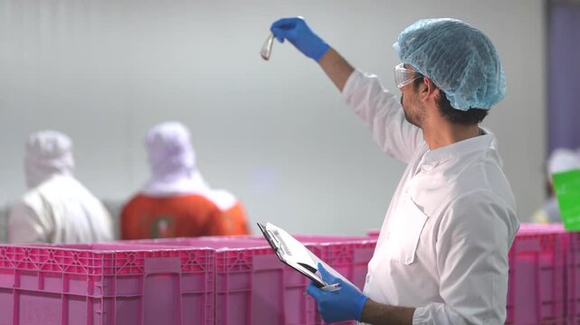 Worker inspecting a fresh fish in seafood production plant of food safety precision and quality assurance in modern manufacturing. Inspector reviewing seafood processing activities facility.