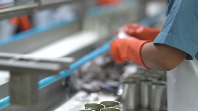 Food factory worker using gloves to handle raw seafood on a production line. Industrial processing with a focus on hygiene, safety, and efficient food preparation methods.