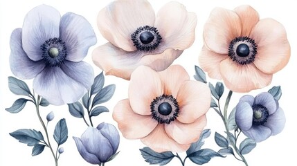 watercolor painting of anemone flowers, can be used as a background