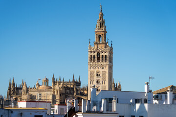 Fototapeta premium Sevilla Kathedrale & La Giralda an der Plaza del Triunfo, Sevilla, Spanien / Catedral de Sevilla