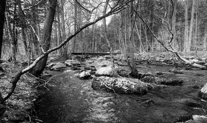Adventure Day - Allamuchy State Park - 2022