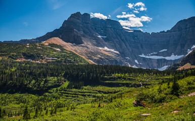 Stunning Forest and Mountain Views on the Iceberg Lake Trail, Many Glacier, Glacier National Park, Montana