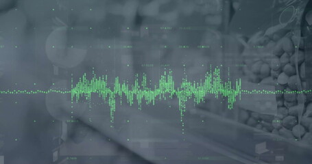 Image of data processing and diagrams over stones
