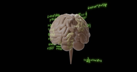 Image of mathematical equations over rotating brain on black background
