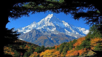 Majestic Snow-Capped Mountain Peak Framed by Autumnal Forest
