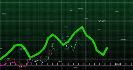 Financial graph image with fluctuating green line over grid background