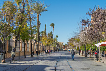 Straßen und Gassen von Sevilla bei Nacht an Weihnachten /  Hauptstadt der südspanischen Region...