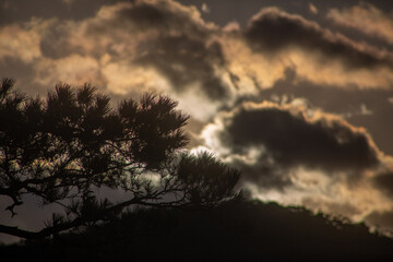 Fototapeta premium 夜明け前の奄美大島龍郷湾