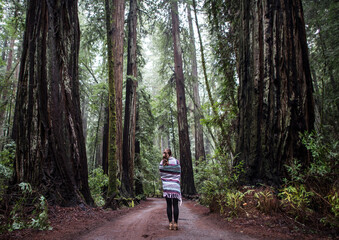 Obraz premium California, landscape, travel, ocean