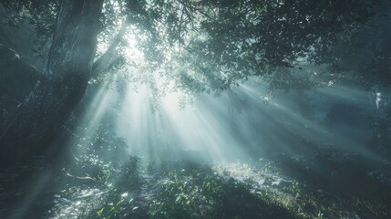 Sunbeams Piercing Through Misty Forest