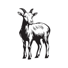 silhouette of a goat