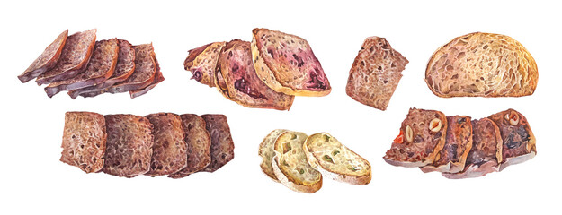 Sliced of loaf of fresh crispy homemade wheat and rye bread with olive and berry isolated on white background. Watercolor whole bun for breakfast. Hand-drawn food for cookbook or kitchen. Clipart