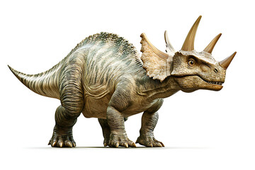 Obraz premium A detailed depiction of a dinosaur with three prominent horns and a frilled neck.