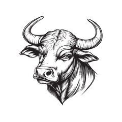 black and white bull head
