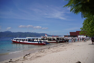 beach with boats