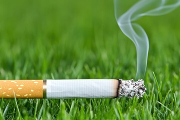 Close-Up of a Cigarette on Lush Green Grass with Smoke Rising, Representing the Impact of Smoking on Health and Environment