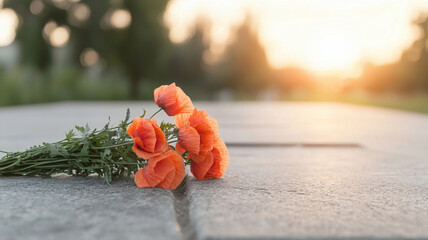 close up of red poppy bouquet resting on stone surface at sunset