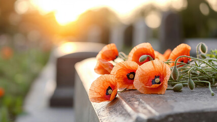 Bright orange poppies resting on stone surface at sunset