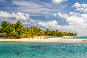 Fototapeta premium French Polynesia, Tikehau Atoll. Atoll beach and ocean.