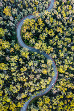 Aerial drone view of winding road through the forest, Black Spur drive, Australia