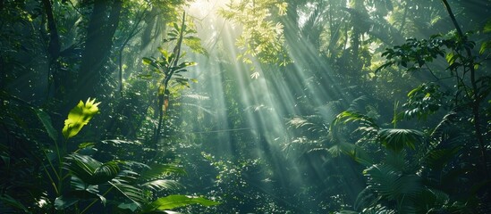 Sunbeams Piercing Through Lush Tropical Rainforest