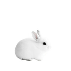 fluffy white rabbit sits calmly against transparency background, showcasing its soft fur and adorable features. This charming animal evokes feelings of warmth and joy