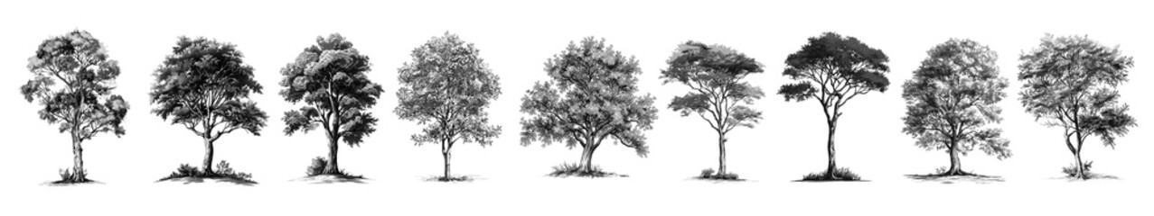 PNG Silhouettes of diverse trees on transparent background