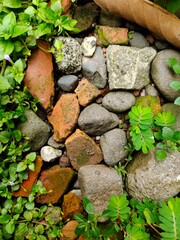 neatly arranged stones in the yard of the house