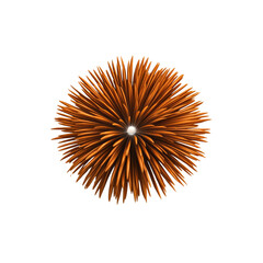 Obraz premium Abstract Orange Burst 3D Render of a Starburst Design