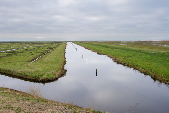 Beautifull Nature reserve in Workum,  Friesland.