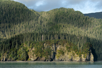USA, Alaska, Kenai Fjords National Park. Mountain forest and Resurrection Bay.